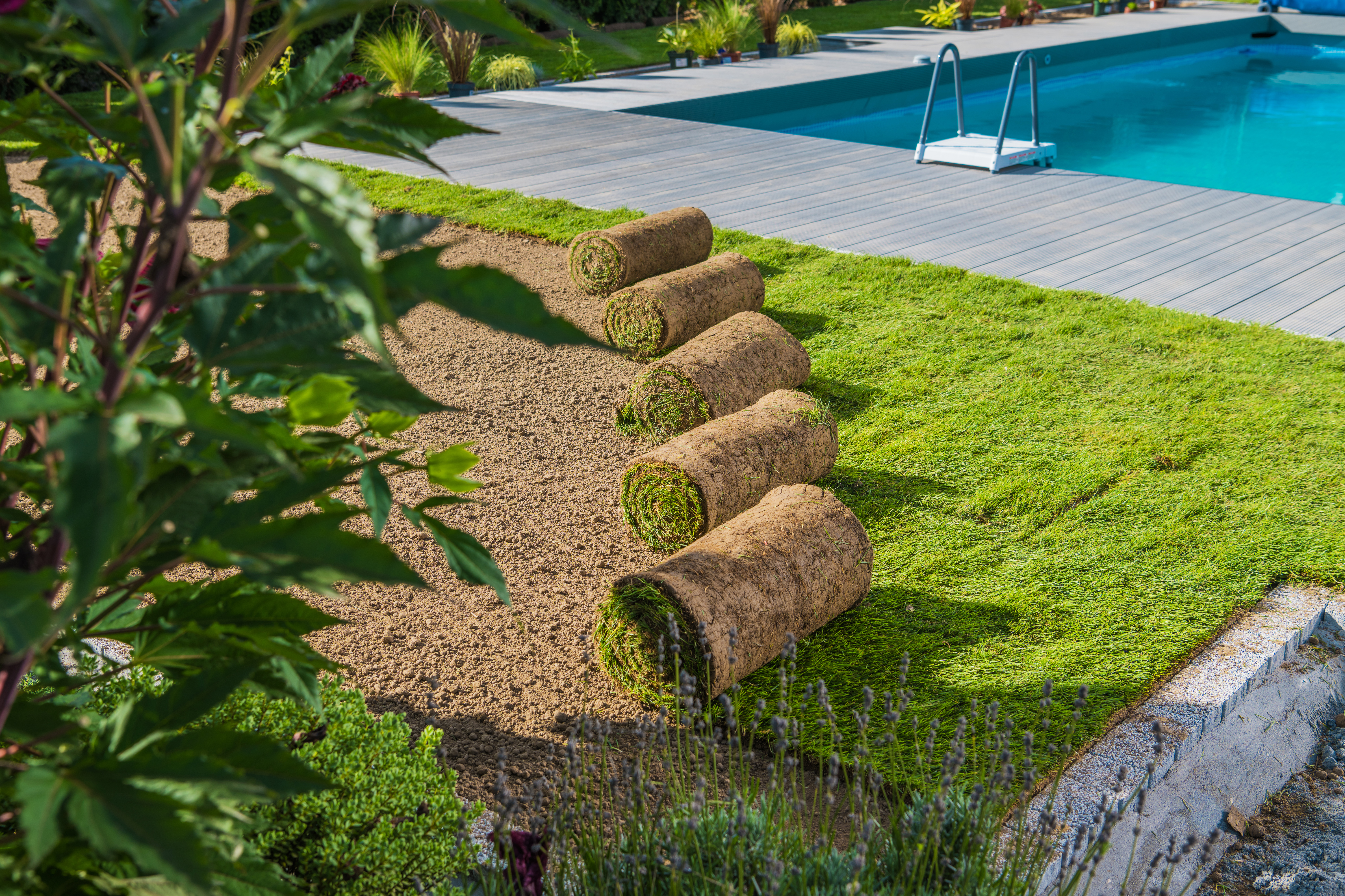 Trusted landscaping team in LA