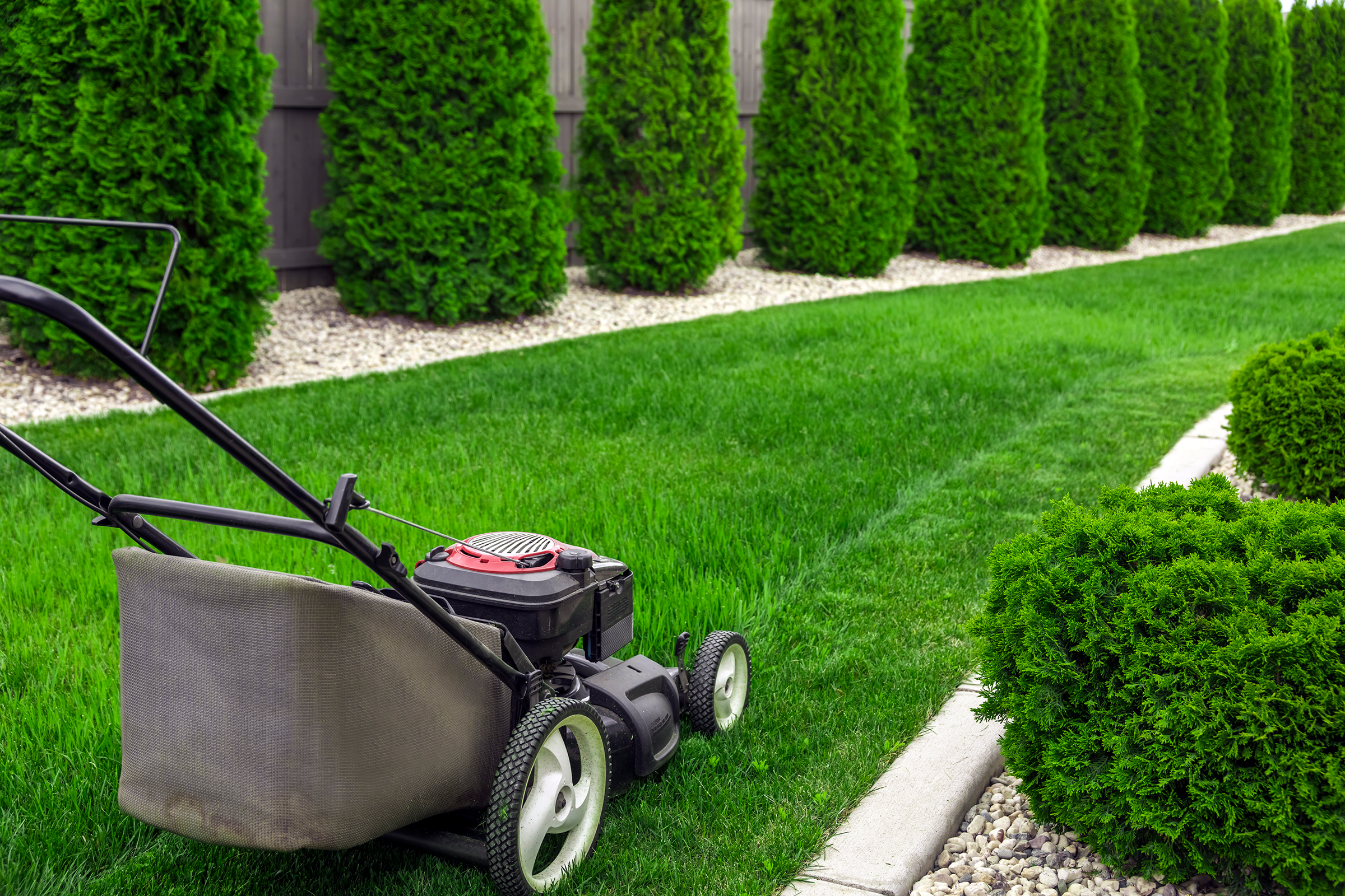 Lawn Mowing in Los Angeles