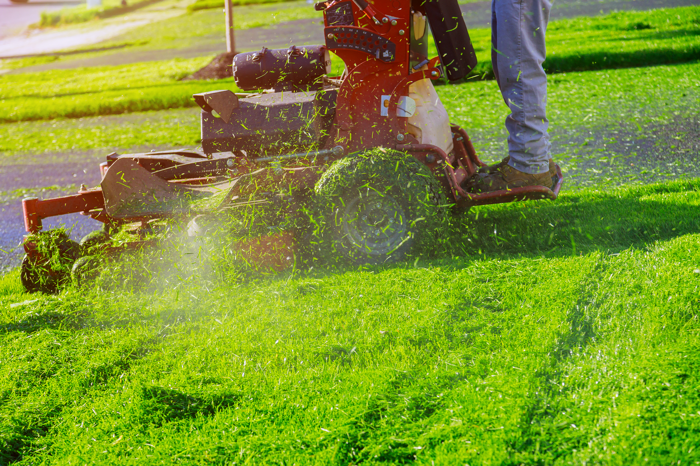 Grass Trimming Services