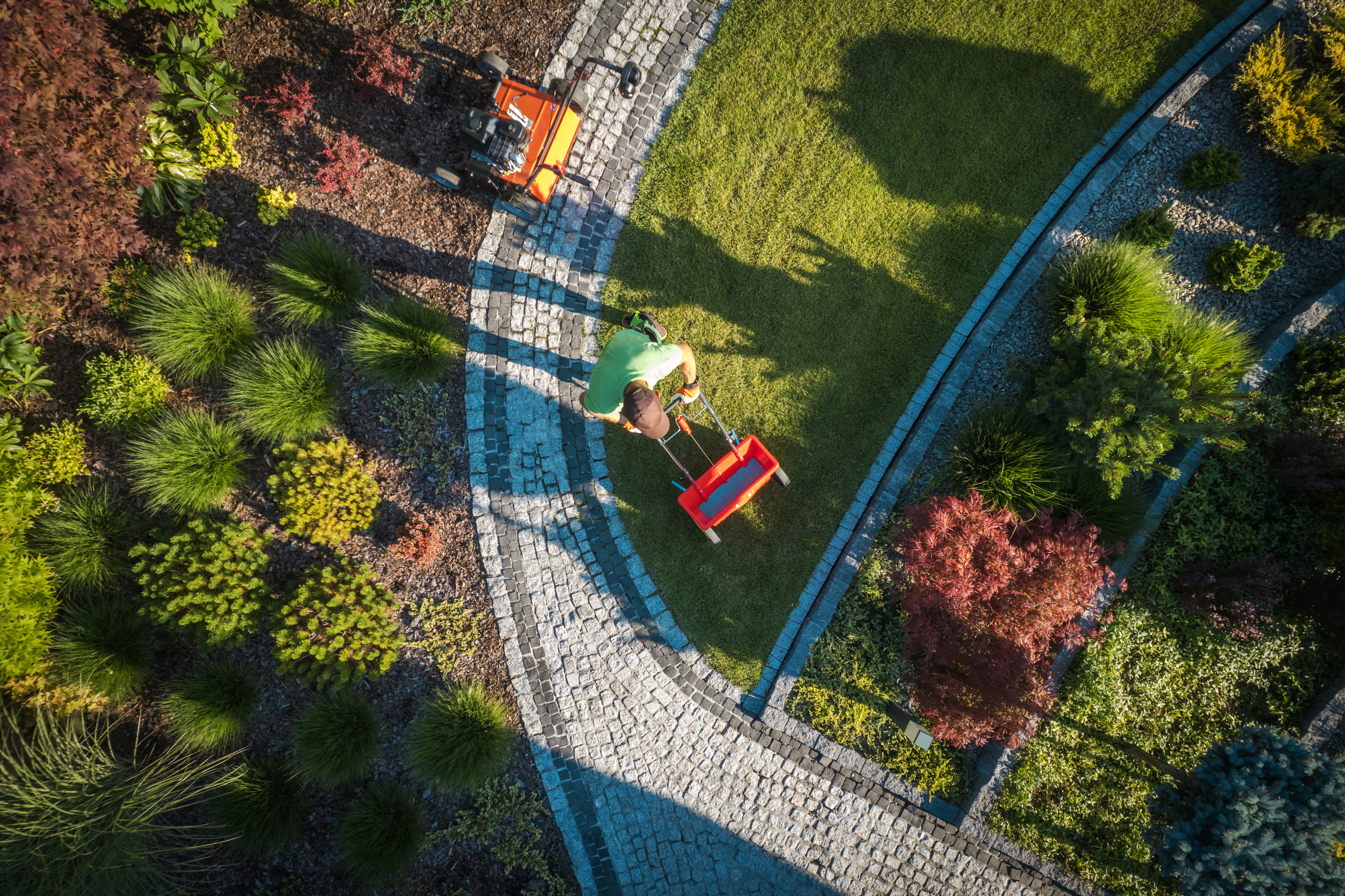 Landscape Renovation LA