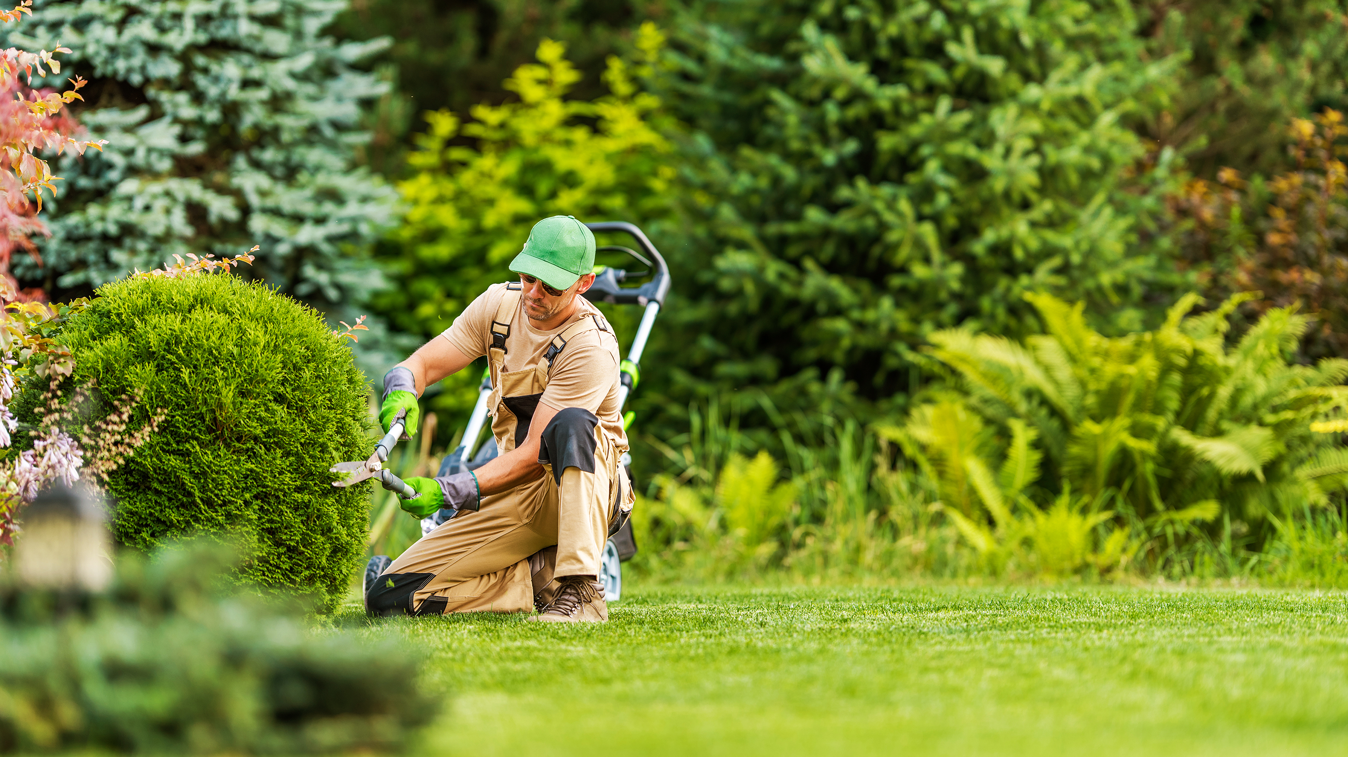 Lawn Care Tips