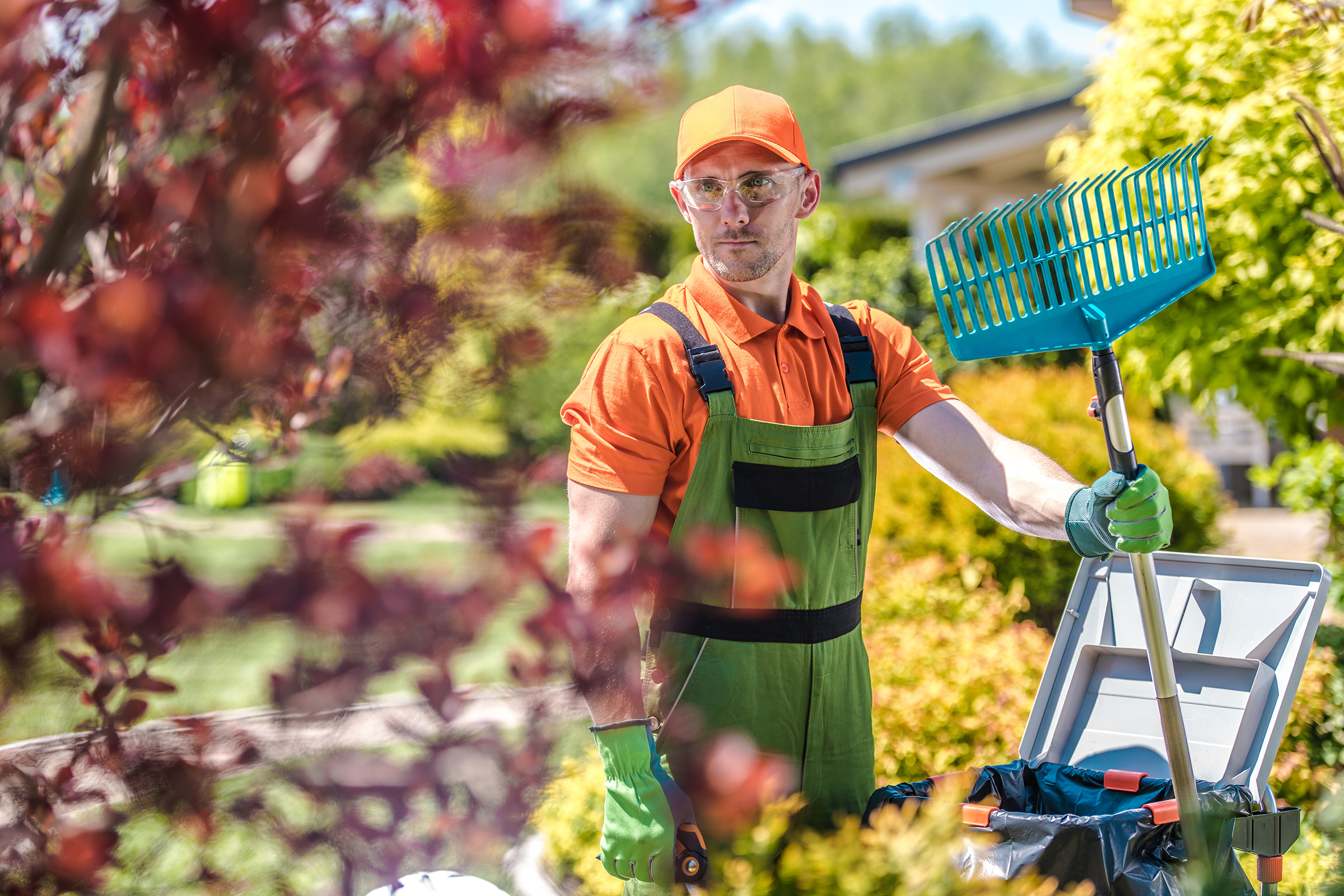 Fall Cleanup Los Angeles
