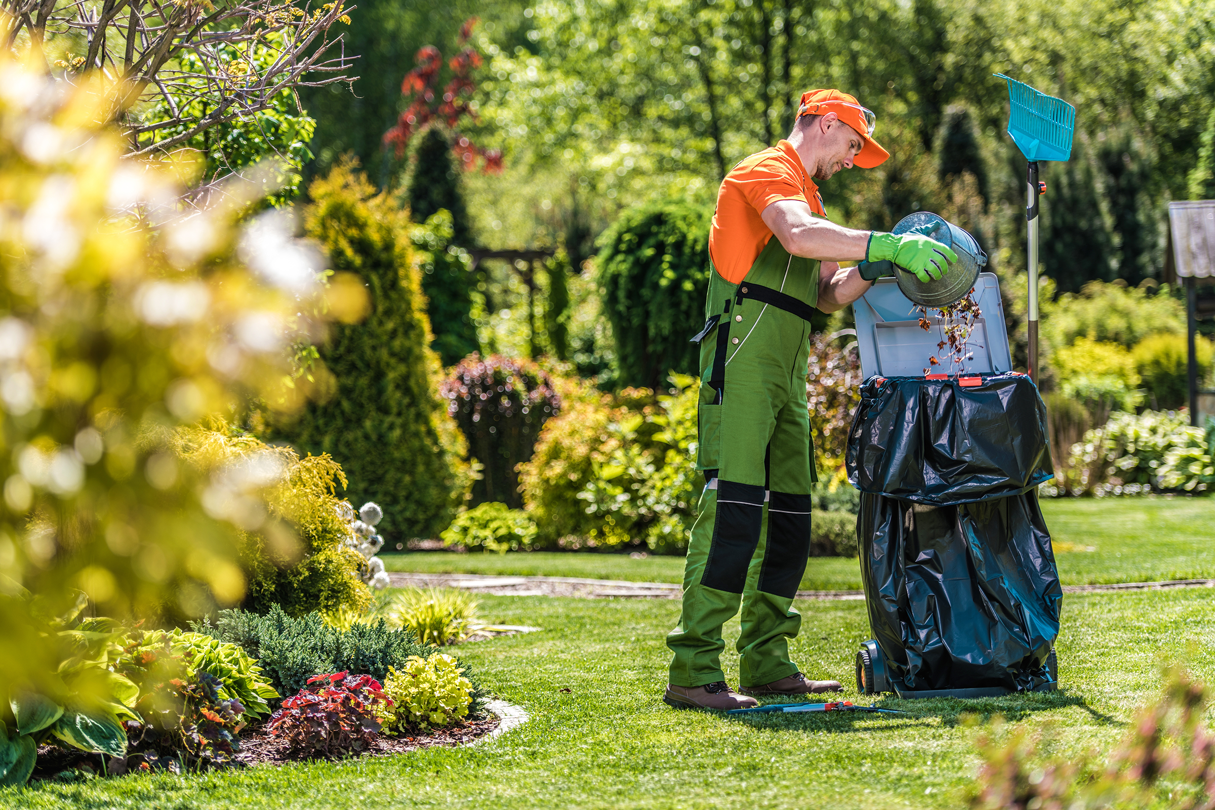 Debris Removal