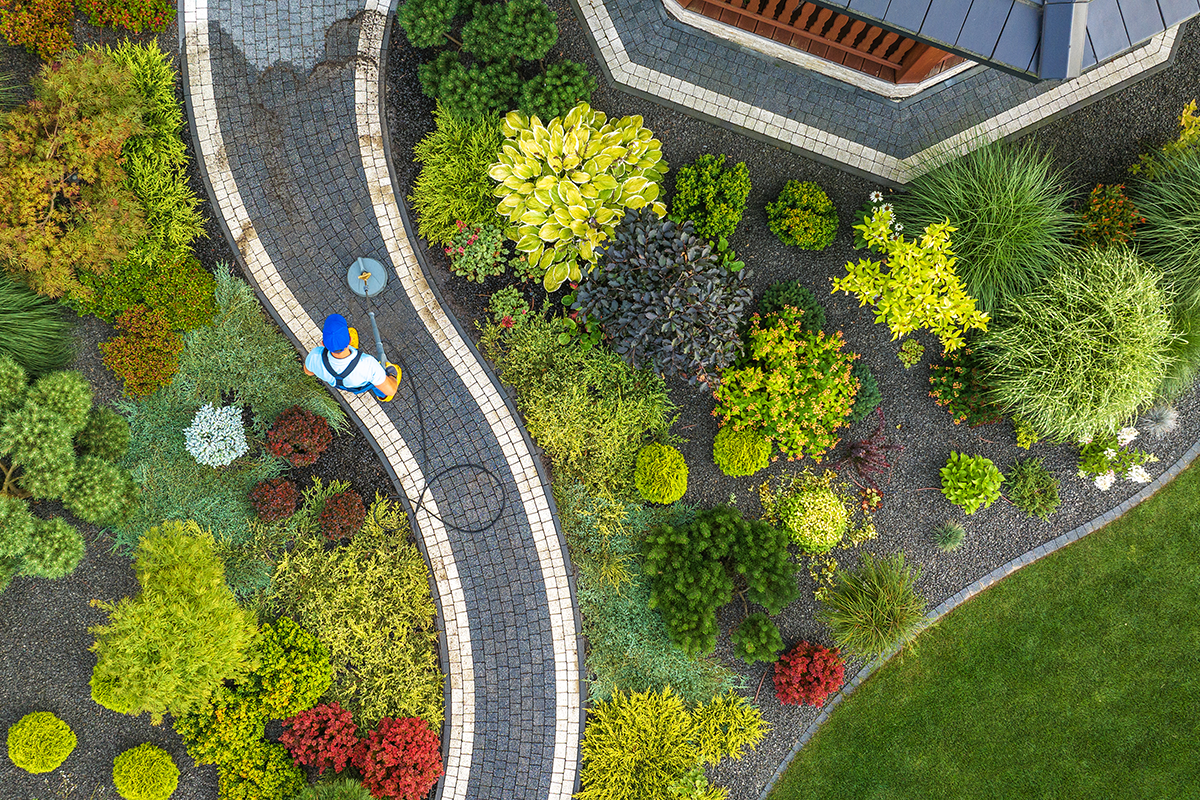 Landscape design service in Los Angeles