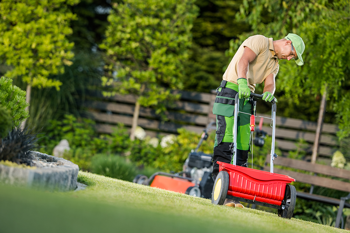 Lawn maintenance and care in Los Angeles