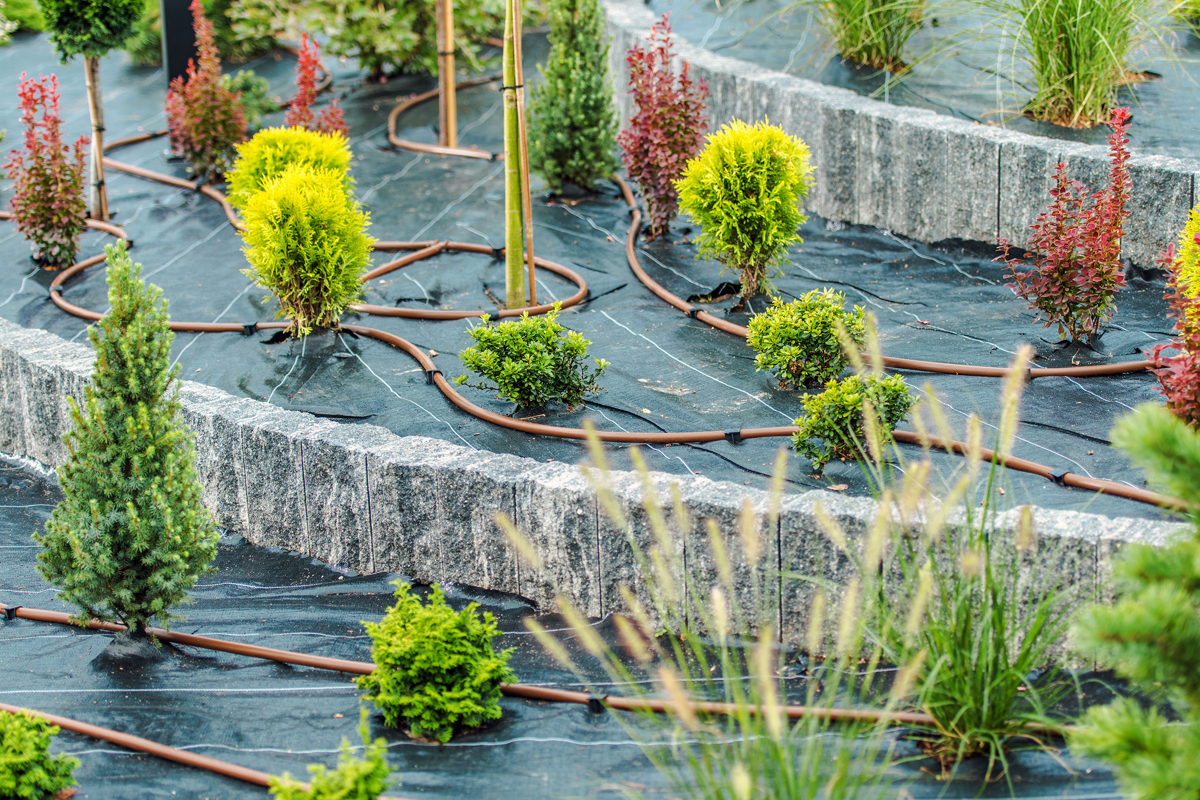 Automatic Sprinkler Setup